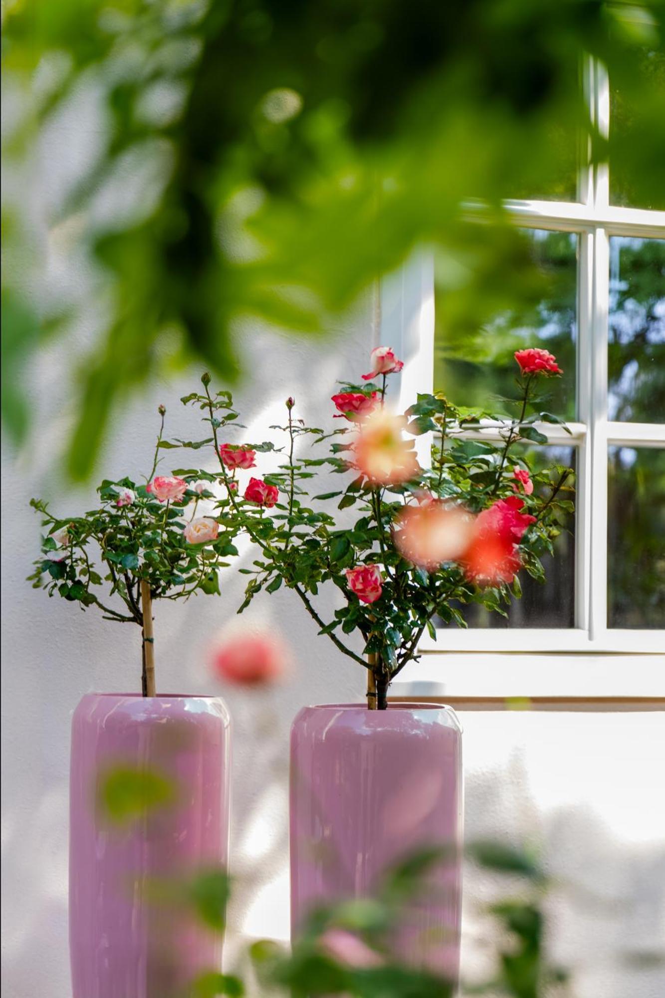 Schlosshotel Wilhelmsthal Calden 외부 사진